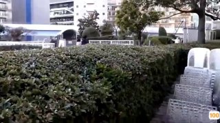 🈲🈲爱很烂无码在线播放